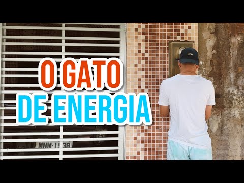 O GATO DE ENERGIA | Rxpow
