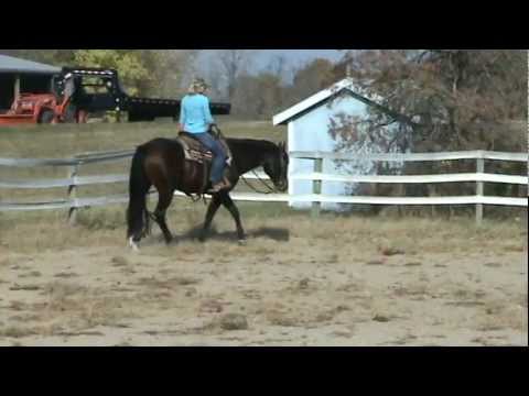 A Stellar Invitation