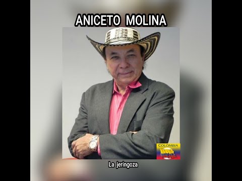 ANICETO  MOLINA - LA  JERINGOZA  (LETRA)