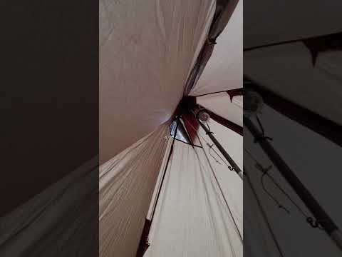 黄疸パリソルム マップ.svg