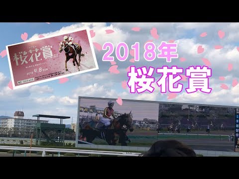 ２０１８年桜花賞に行ってきた　 柳楽　優弥も来ていたよ　marchannel