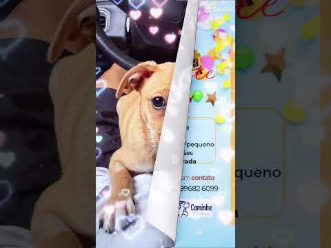 Vídeo de Molly 