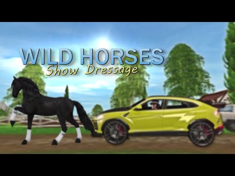 [ˢˢᵒ] Wild Horses - Show Dressage