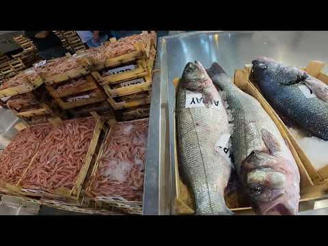 İZMİR BALIK HALİ (Cam gibi Balıklar)Çatçat Fatih