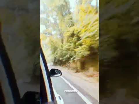 beauty of Tripura north🤎⬆️