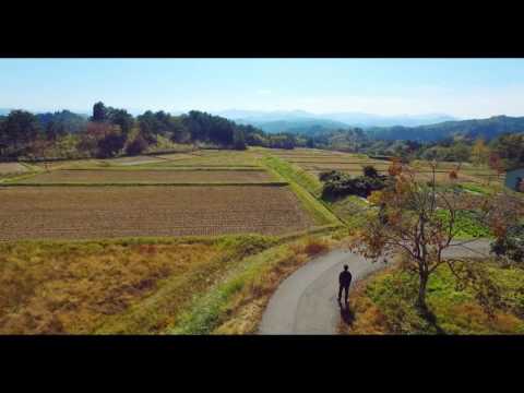 flying around fukushima