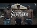 NLE Choppa Cottonwood The Movie