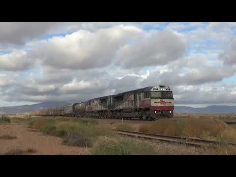 SCT010 and SCT003 on 4MP9 freight Stirling North