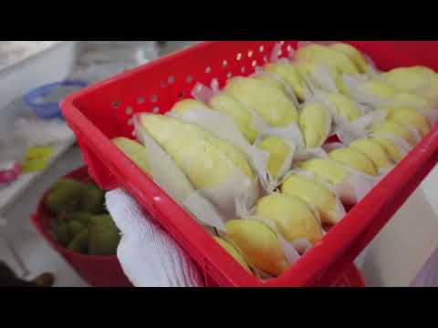 Amazing Durian Cutting Skills at Bangkok street food Thailand