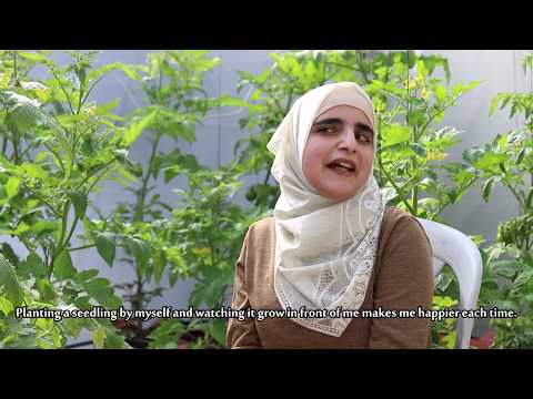 Rooftop Micro Farms for Refugee Women in Deheishe