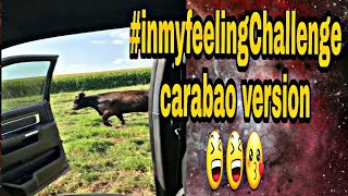 Download lagu #kikichallenge Carabao Version mp3 Download lagu #kikichallenge Carabao Version mp3