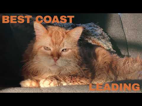 Video thumbnail for Leading
