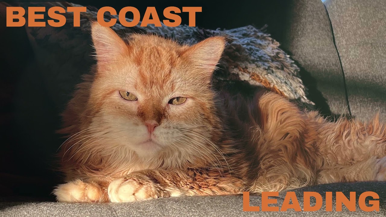 Best Coast - Leading