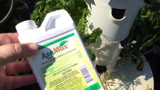 Root Aphids GRRRRR!  Hydroponic Systems Tower Gardens