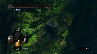 【二週目ダクソ】