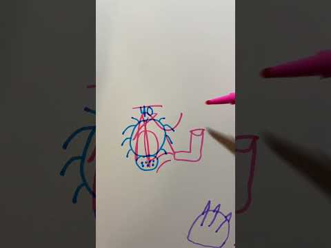 Death By Sketch! Introduction and Overview