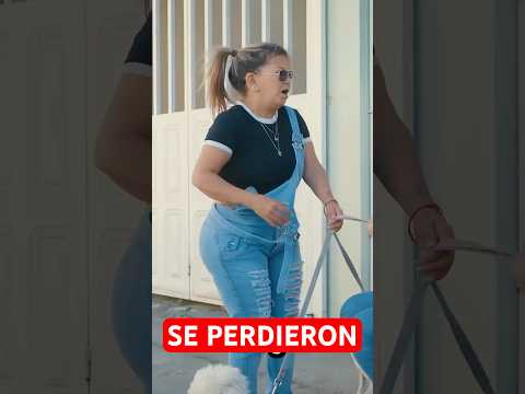 My boss's dog is lost #luzmaria #reflectionsoftheday #stories #reflections