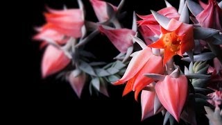 Did You Know You Partake In the Very Sin of Lucifer? (Part Two)