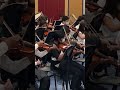 Aaradhya School Performanc Violine