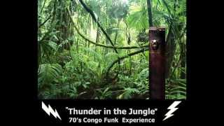 ''Thunder in the Jungle'' -- 70′s Congo Funk Experience