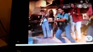 James Boma,y-dog on a tool box