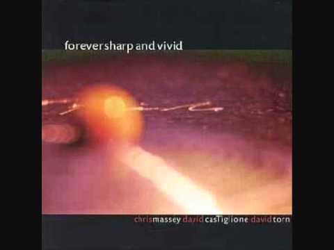 A Short Visit - Chris Massey, David Castiglione, David Torn