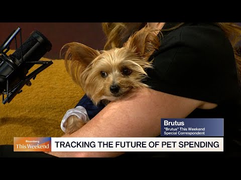 US Pet Market Set to Surpass $250 Billion
