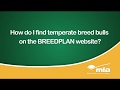 EPISODE 1: How do I find temperate bulls on the BREEDPLAN website?