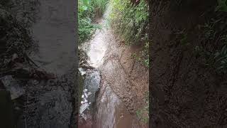 Download lagu Very soulful song 👍👍 mp3