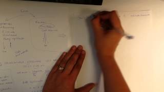 Error types and error propagation