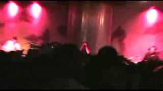 Best of Times - Staple Live on the Final Night