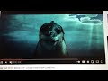 Gary Supernova Punches Leopard Seal Happy Feet