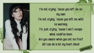 Alexandra Porat - Don't Watch Me Cry | Lirik Video