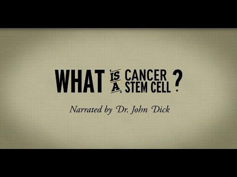 What is a cancer stem cell? Narrated by Dr. John Dick