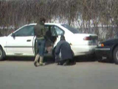 ANDRE CLAVEAU STUPID