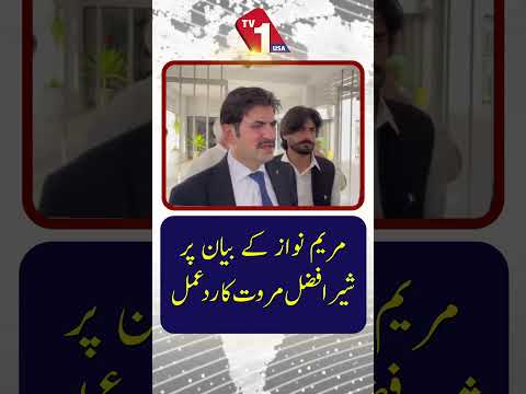 مریم نواز کے بیان پر شیر افضل مروت کا ردعمل