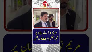 مریم نواز کے بیان پر شیر افضل مروت کا ردعمل