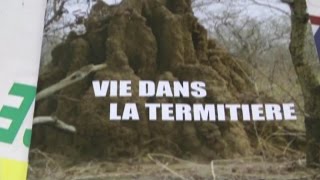 Roukièta Rouamba, (Burkina Fasso)