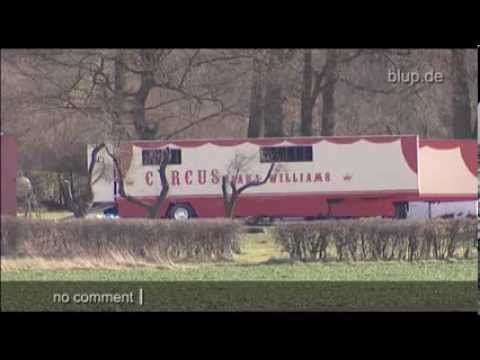 bluptv: Circus dispute