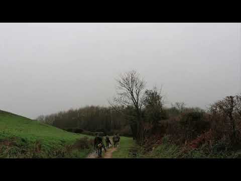 South West Sporting Ltd - Game Shooting Instructors