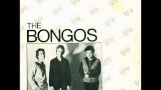 the bongos-telephoto lens.wmv