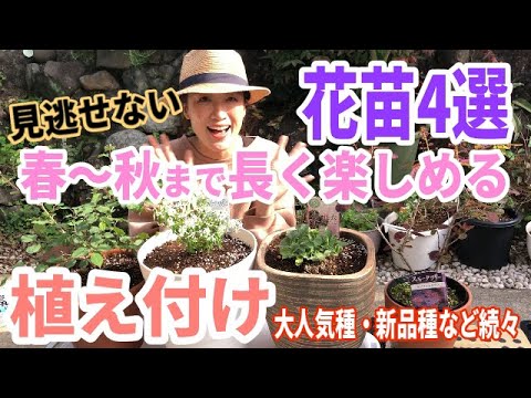 小葉の秋ライラック 植物