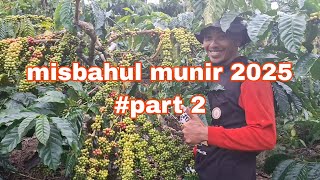 Download lagu #Part 2 Coffee fruit explodes again in 2025. Check out how to care for Misbahul Munir👍👍 mp3