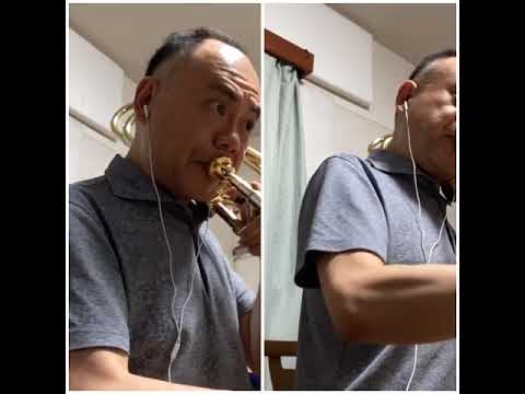 YouTube動画