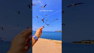 Download lagu Putri ariani | Mimpi #lyrics #shorts #putriariani #americagottelent mp3 Download lagu Putri ariani | Mimpi #lyrics #shorts #putriariani #americagottelent mp3
