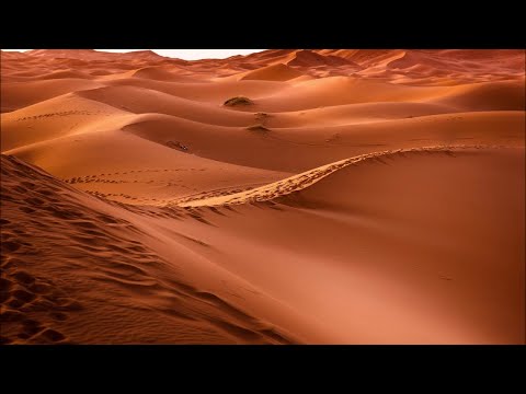 Laroz Camel Rider - Downtempo set