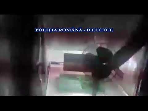 Canabis cultivat în Arges