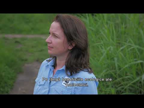 Reconstrucție ecologică Gârla Mare (MH)