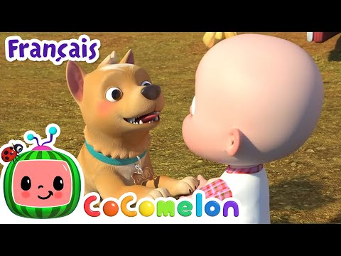 BINGO | CoComelon en Français | Chansons pour bébés