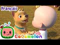 BINGO CoComelon En Français Chansons Pour Bébés